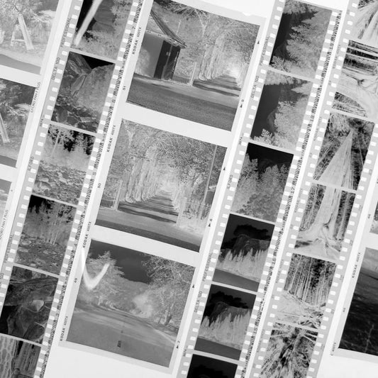 B&W Film Development